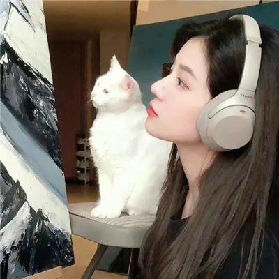 杰克盖的房子