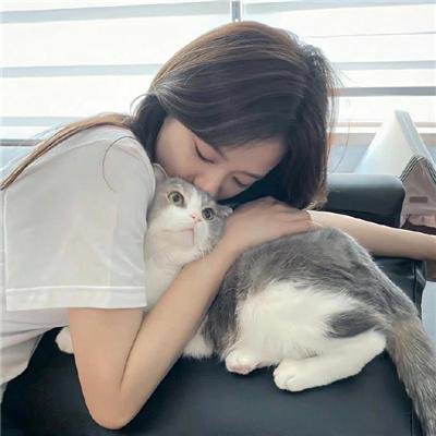 非普通犯罪